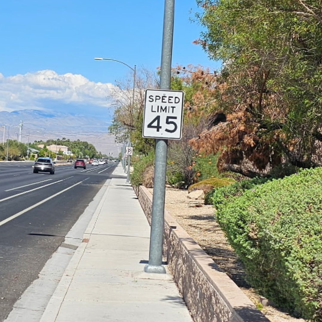 Overgrown Tree After
