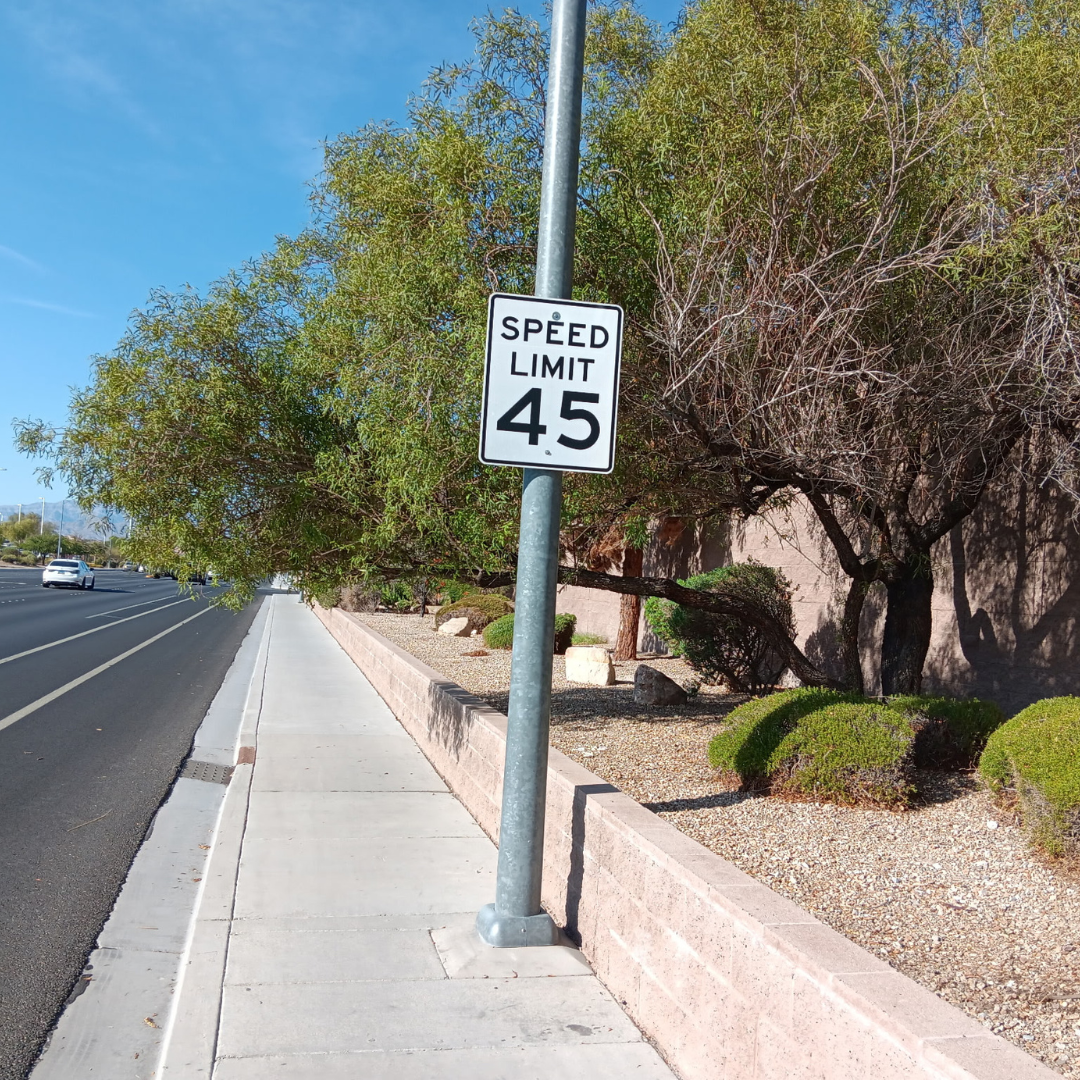 Overgrown Tree Before